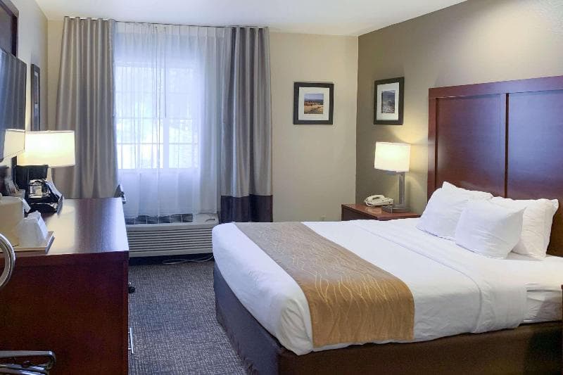 Comfort Inn I-17 & I-40 photo 1