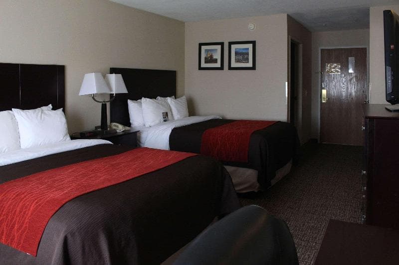 Comfort Inn & Suites North Tucson - Marana 4