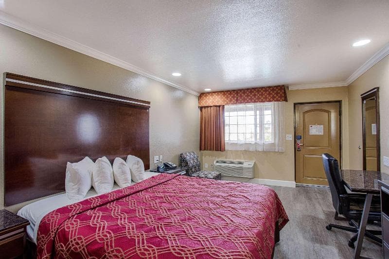 Motel 6 Carlsbad 4