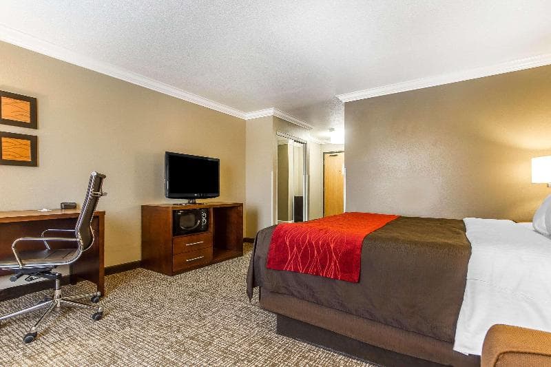 Comfort Inn & Suites Redwood Country 4