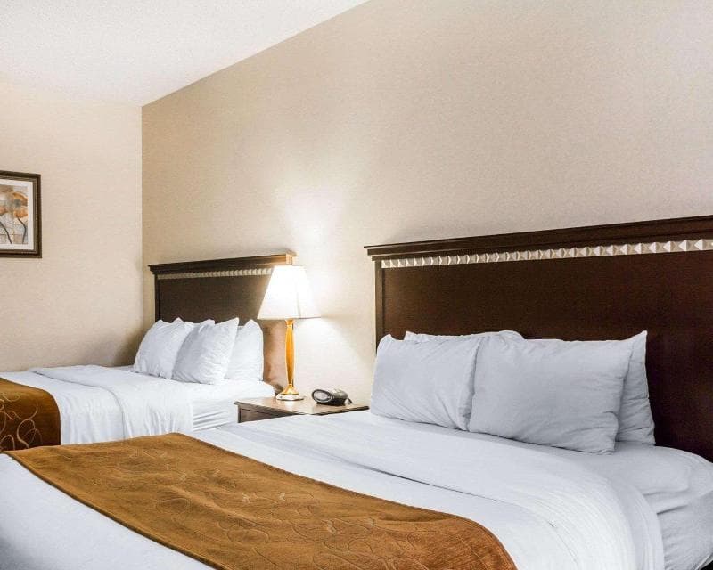 Quality Inn & Suites Westminster 5