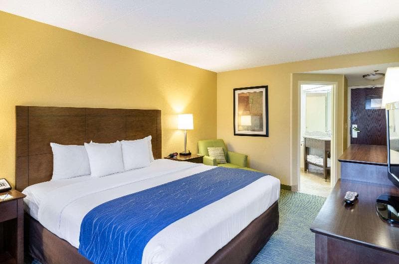 Comfort Inn And Suites Newark - Wilmington 3