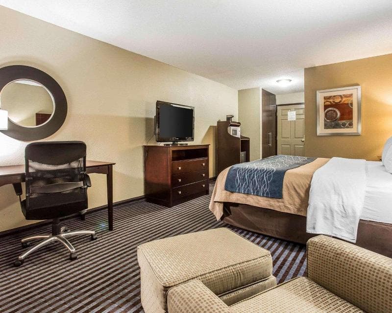 Comfort Inn & Suites Ballpark Area photo 1