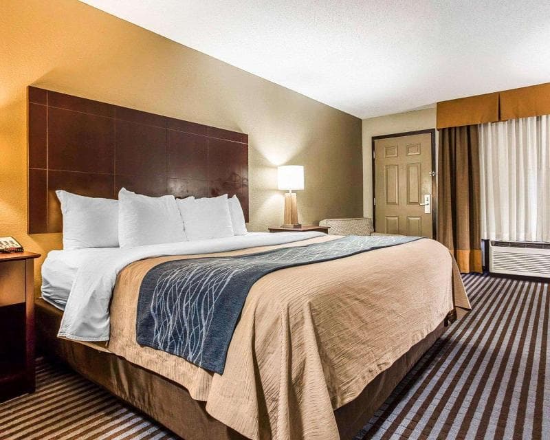 Comfort Inn & Suites Ballpark Area 4