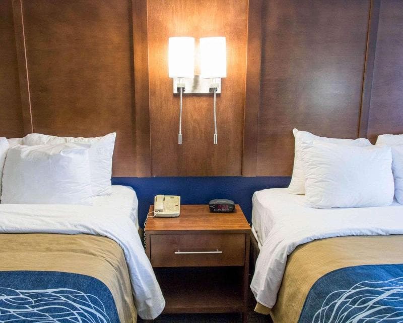 Comfort Inn & Suites Statesboro - University Area 1