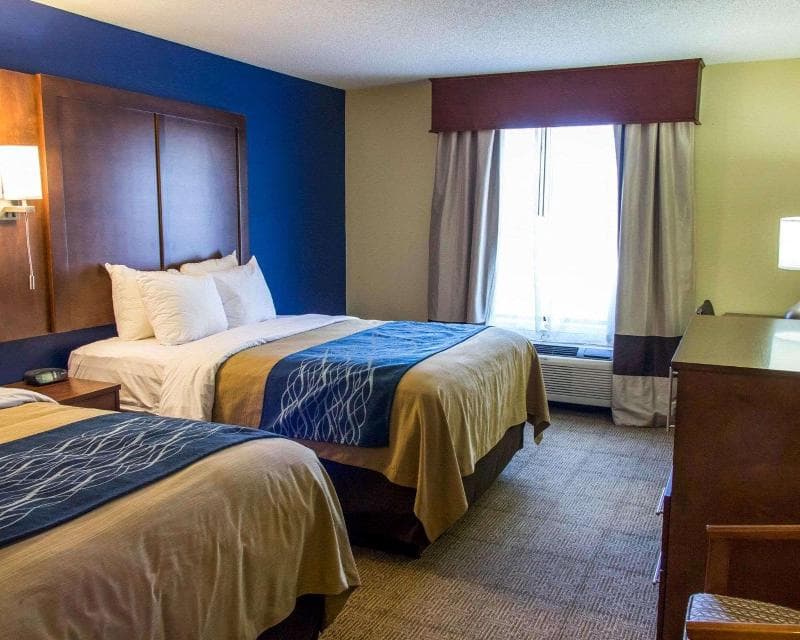 Comfort Inn & Suites Statesboro - University Area 4