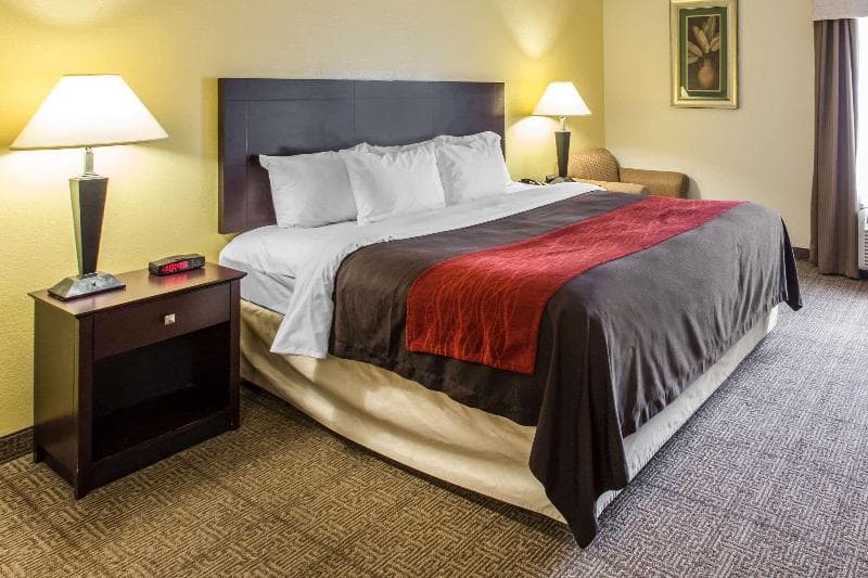 Comfort Inn & Suites 3