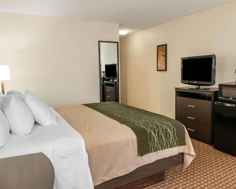 Comfort Inn & Suites 3
