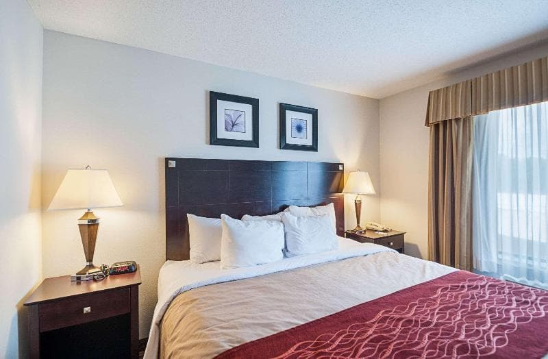 Comfort Inn & Suites Cambridge 5