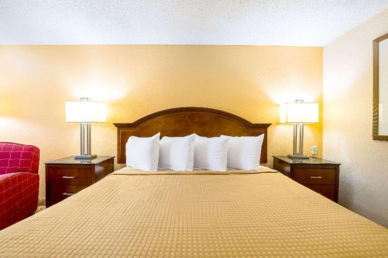Rodeway Inn Metro Airport 3