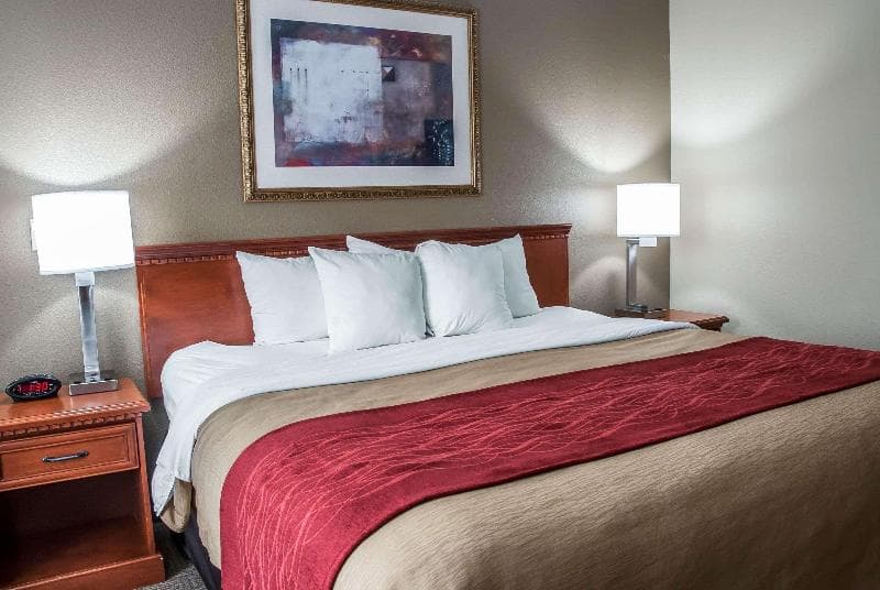 Comfort Inn Near Six Flags St. Louis photo 1