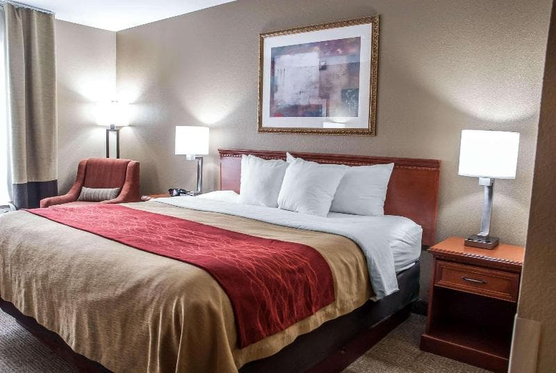 Comfort Inn Near Six Flags St. Louis 5