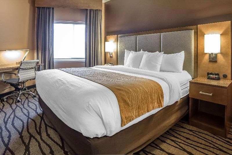Comfort Inn & Suites Market - Airport photo 1