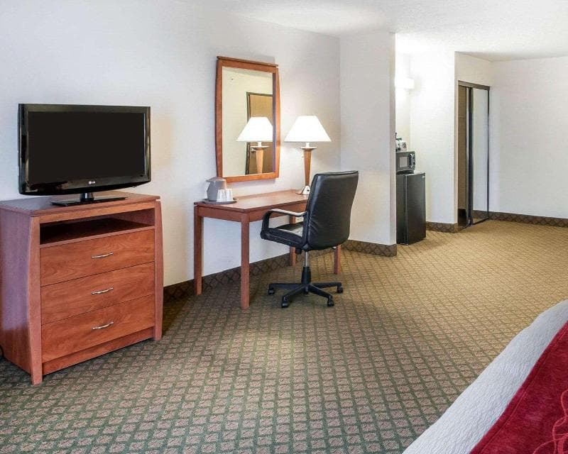 Comfort Inn & Suites 5