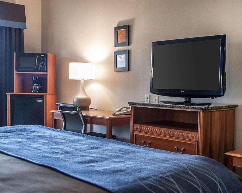 Comfort Inn & Suites 5