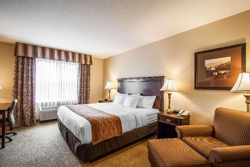Comfort Inn & Suites 3