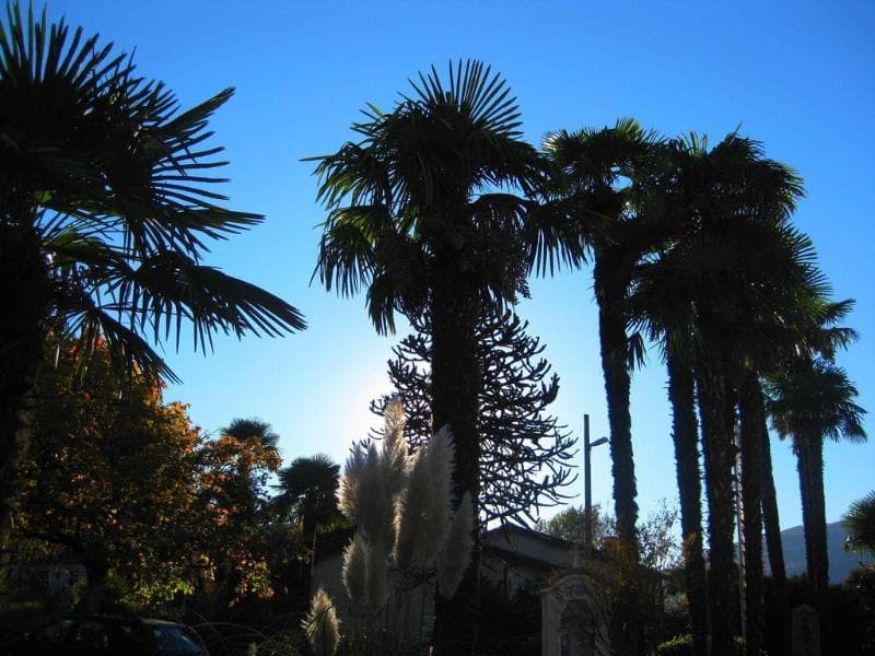 Albergo Gardenia 2
