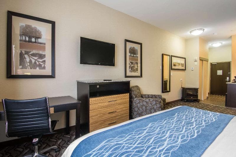 Comfort Inn & Suites 4