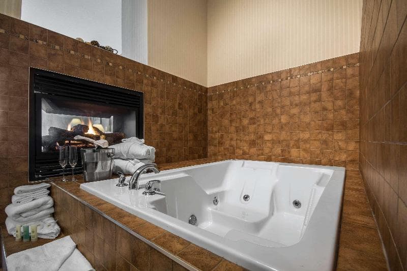 Comfort Inn & Suites Surrey Hotel main