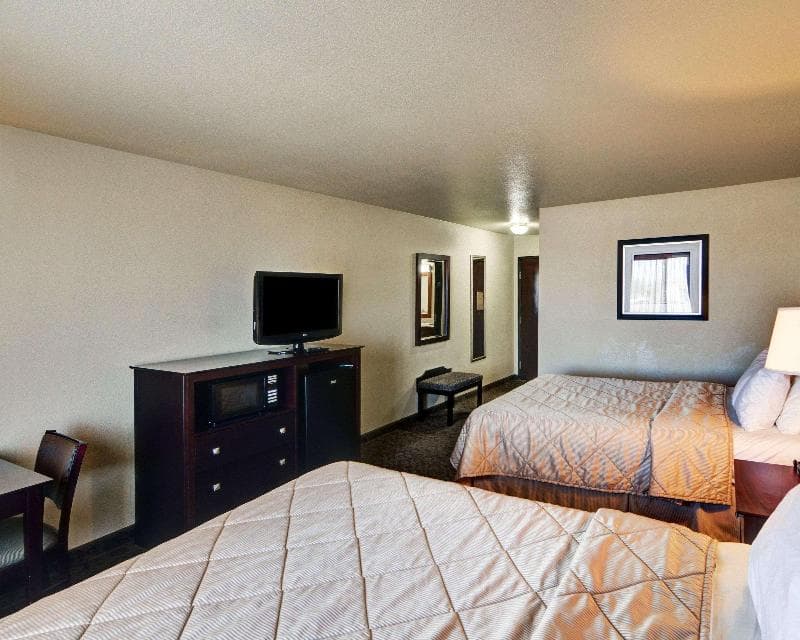 Quality Inn & Suites 4