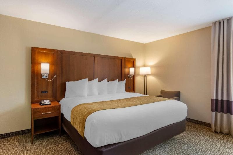 Comfort Inn Petersburg - Fort Lee 4