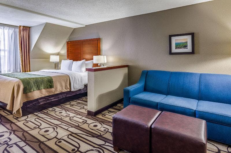 Comfort Inn Staunton 4