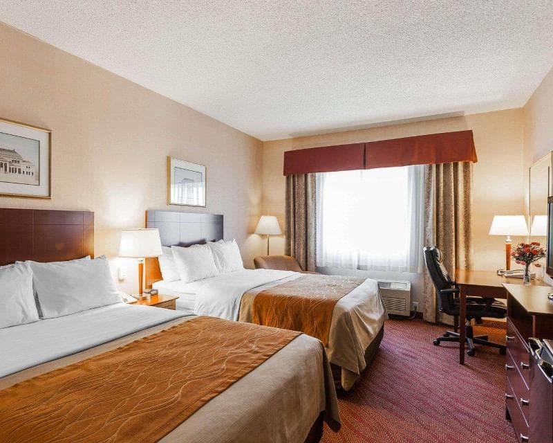 Comfort Inn Kelso 4
