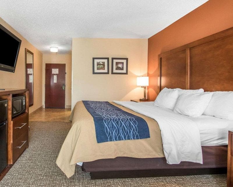 Comfort Inn Livingston 4