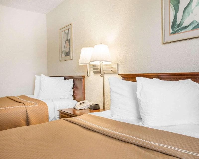 Econo Lodge Thomson Area main