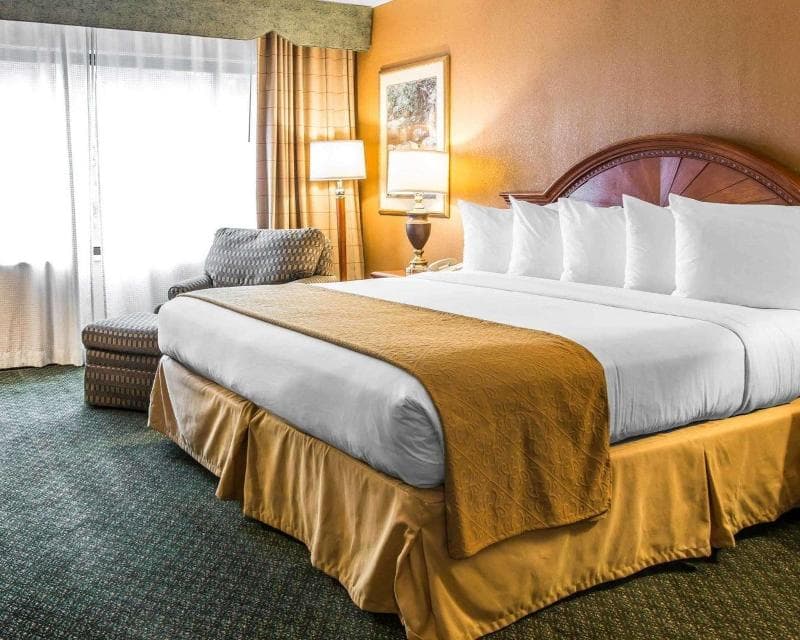 Quality Inn Southfield Area 3