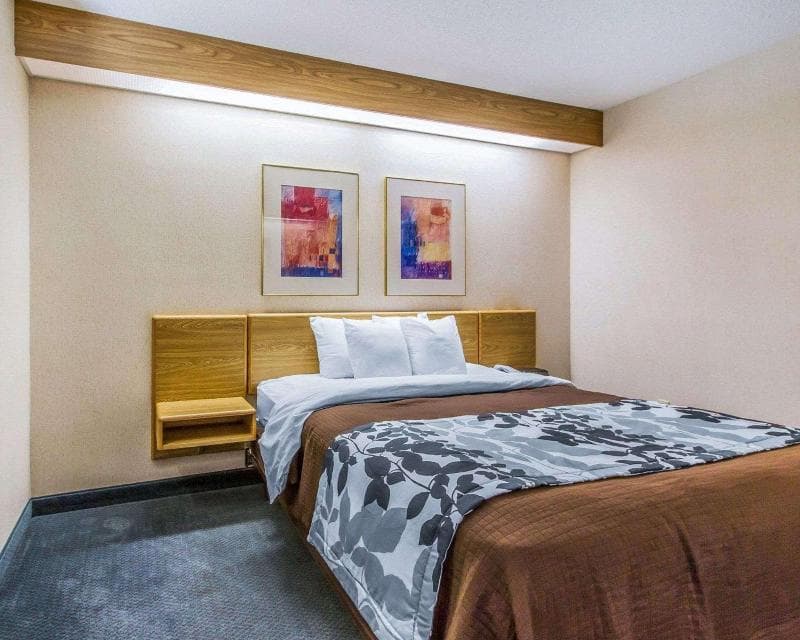 Rodeway Inn Fremont 4