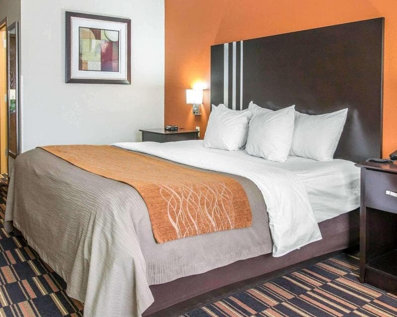 Comfort Inn Maumee - Perrysburgh Area 2