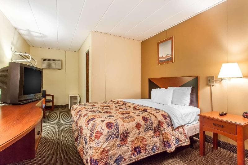 Rodeway Inn North 5