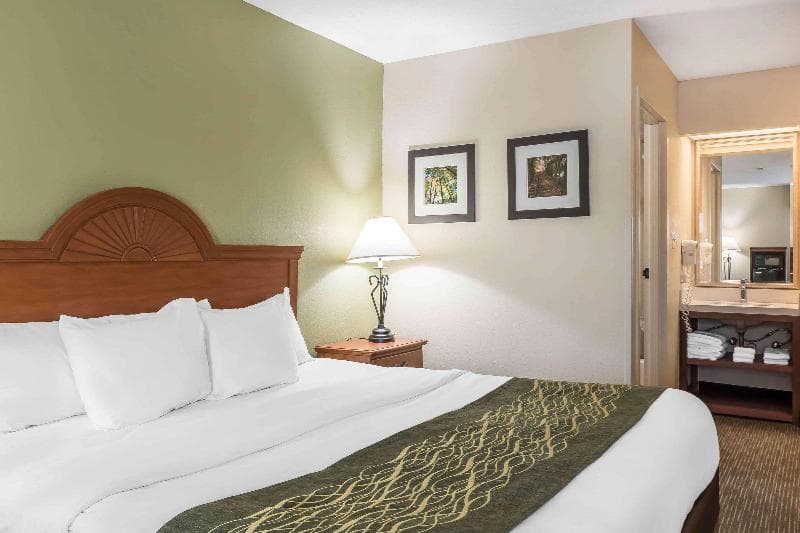 Comfort Inn Pine Grove Area 3