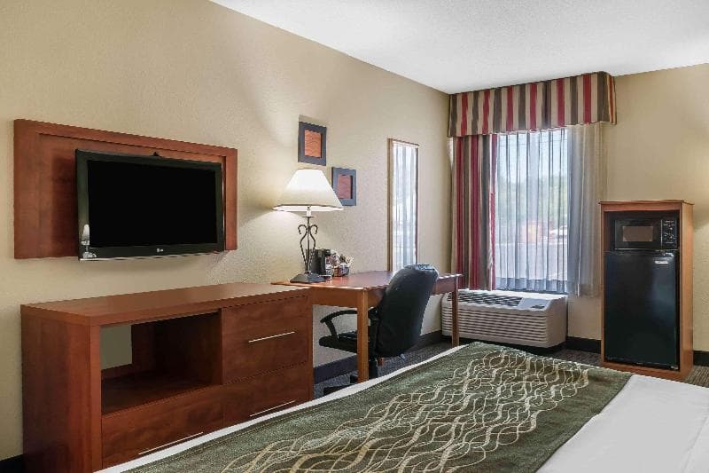 Comfort Inn Pine Grove Area 4