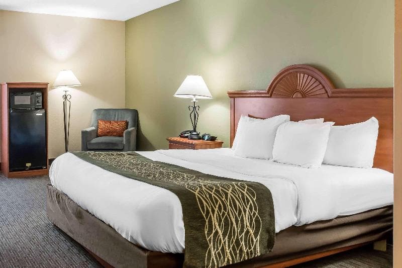 Comfort Inn Pine Grove Area 5