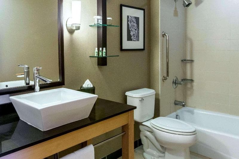 Cambria Hotel Rapid City Near Mount Rushmore 4