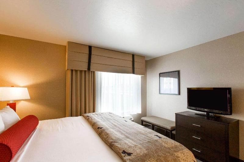 Cambria Hotel Rapid City Near Mount Rushmore 5