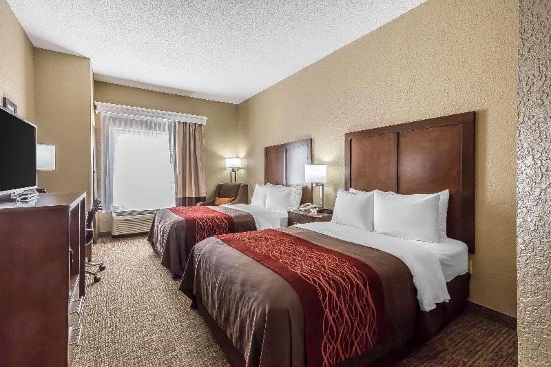 Comfort Inn South photo 1