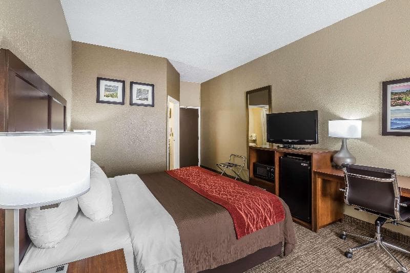Comfort Inn South 3