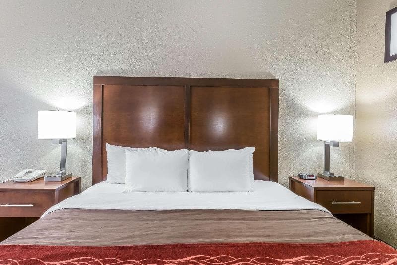 Comfort Inn South 4