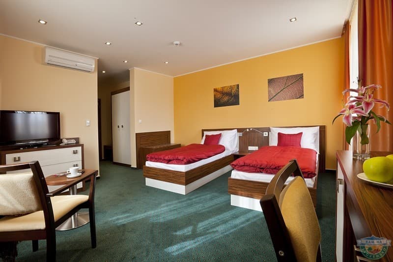 Hotel Viktor 3