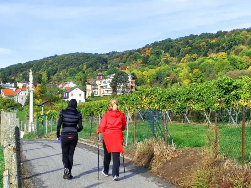 Schild photo 1