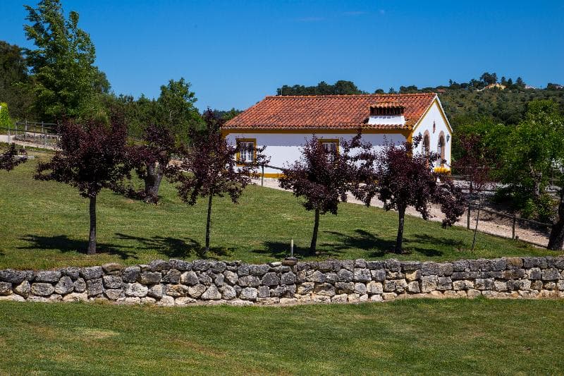 Quinta da Alcaidaria-Mór photo 1