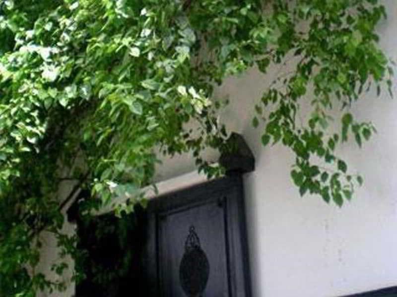 Riad Magellan photo 1