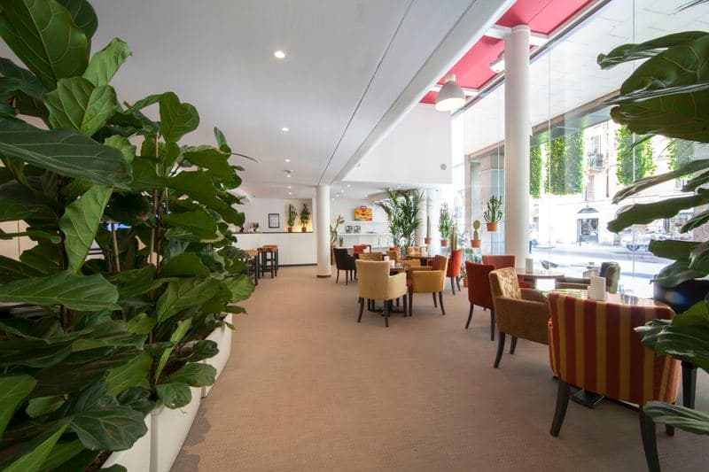 Urban Hive Hotel 2