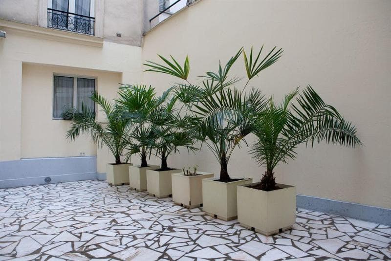 Est Hotel Paris 5