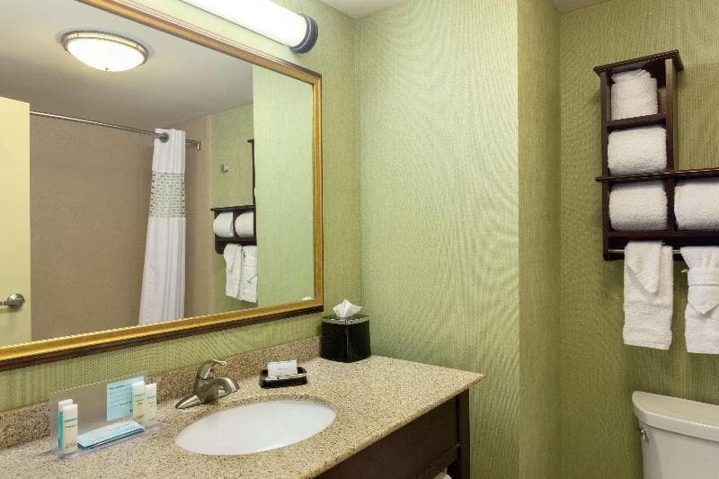 Hampton Inn & Suites Prattville 5