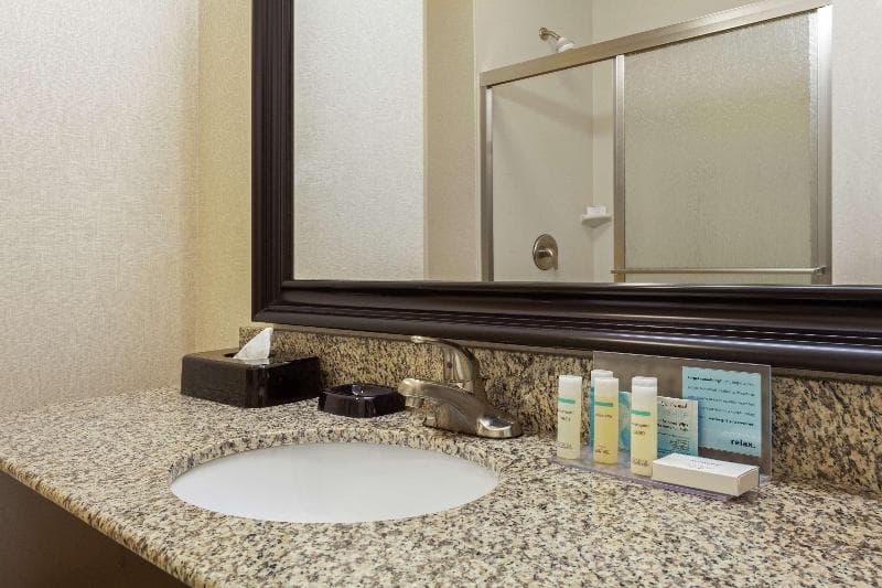 Hampton Inn Ozark 5