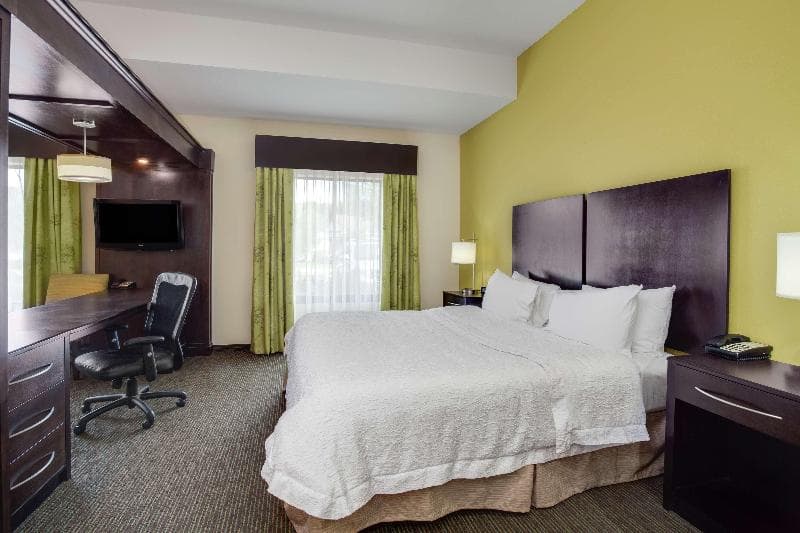 Hampton Inn Ozark 4